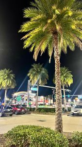 Instagram post by @favelababy