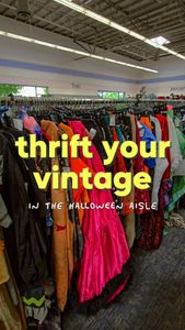 Instagram post by @wander.with.vanessa