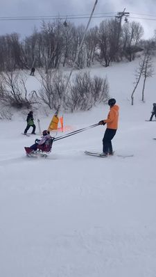 Instagram post by @heypaigeflamm