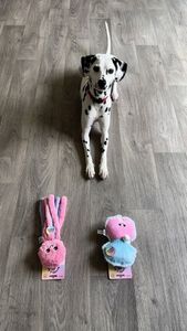 Instagram post by @_nakiaaa