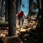 @waynedevingo Instagram Profile