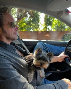 Instagram post by @joshlucas