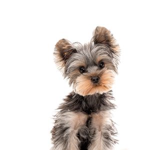 Instagram post by @joshlucas