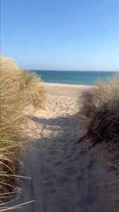 Instagram post by @sophia_luce