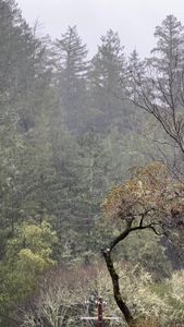 Instagram post by @sophia_luce