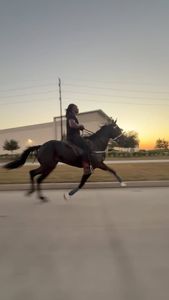 Instagram post by @jboogie_e.n.t