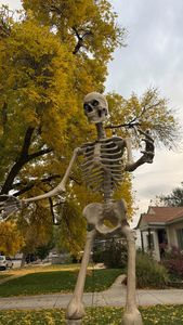 Instagram post by @lincandcanyon