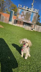 Instagram post by @pretty_financial