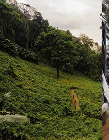 Instagram post by @natalierstarr