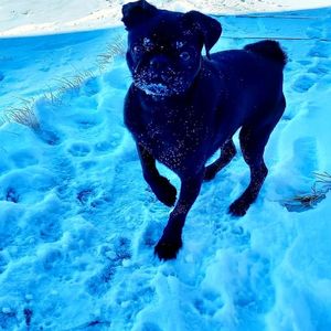 Instagram post by @the_dailykaylee