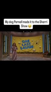 Instagram post by @shayhairmuseum