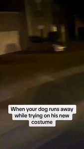 Instagram post by @shayhairmuseum