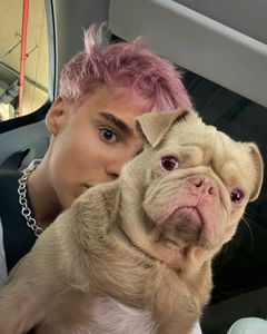 Instagram post by @raphael