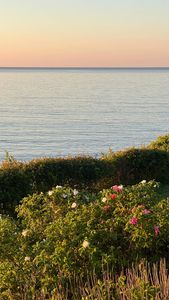 Instagram post by @jdlovee