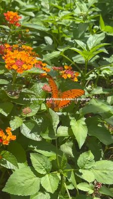 Instagram post by @diogoadarocha