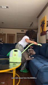 Instagram post by @curlybeviie