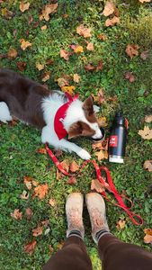 Instagram post by @shelbssays