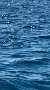 Instagram post by @forbisss