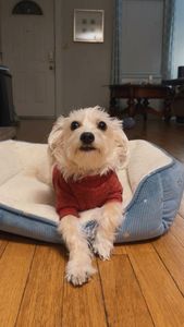 Instagram post by @wilfredooooo