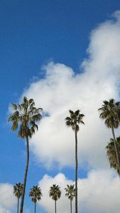 Instagram post by @raeatanielu