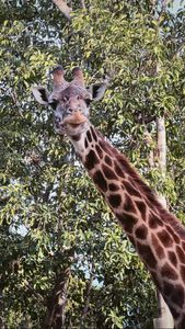 Instagram post by @raeatanielu