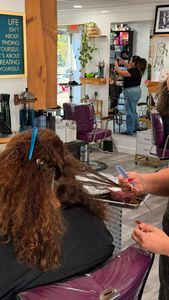 Instagram post by @milk.honey.hair