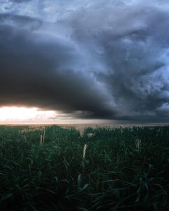 Instagram post by @catchingsolitude