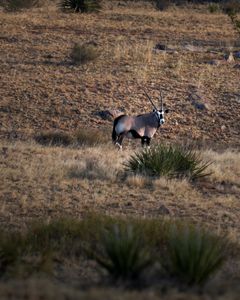 Instagram post by @catchingsolitude