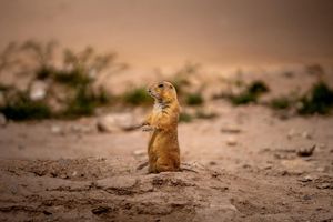 Instagram post by @catchingsolitude