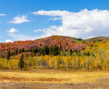 Instagram post by @roykero