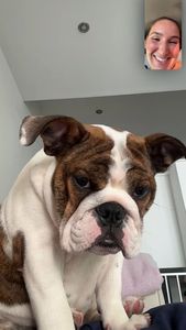 Instagram post by @allliedepinto