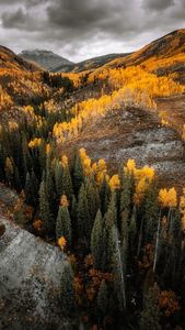 Instagram post by @funkdrone