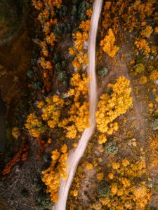 Instagram post by @funkdrone