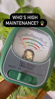 Instagram post by @capitoldebeaute