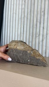 Instagram post by @taracarlyle