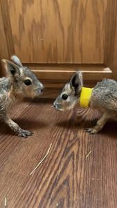 Instagram post by @cataleah