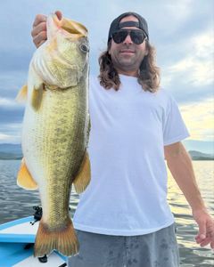 Instagram post by @ryanries