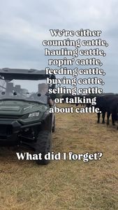 Instagram post by @brandibuzzard