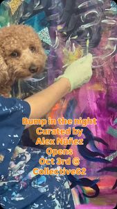 Instagram post by @adventuresofamadeus