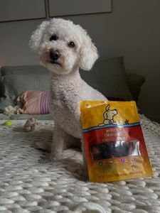 Instagram post by @adventuresofamadeus