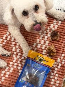 Instagram post by @adventuresofamadeus