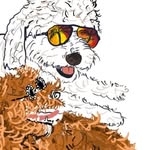 @adventuresofamadeus Instagram Profile