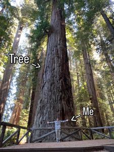 Instagram post by @jaronclinch