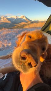 Instagram post by @andrew__muse