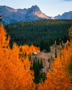 Instagram post by @frankiespontelli