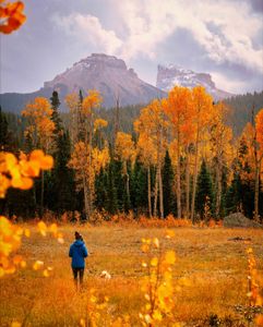 Instagram post by @frankiespontelli