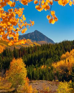 Instagram post by @frankiespontelli