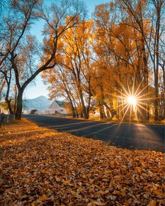 Instagram post by @frankiespontelli