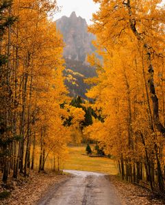 Instagram post by @frankiespontelli