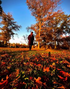 Instagram post by @mizzlesworld